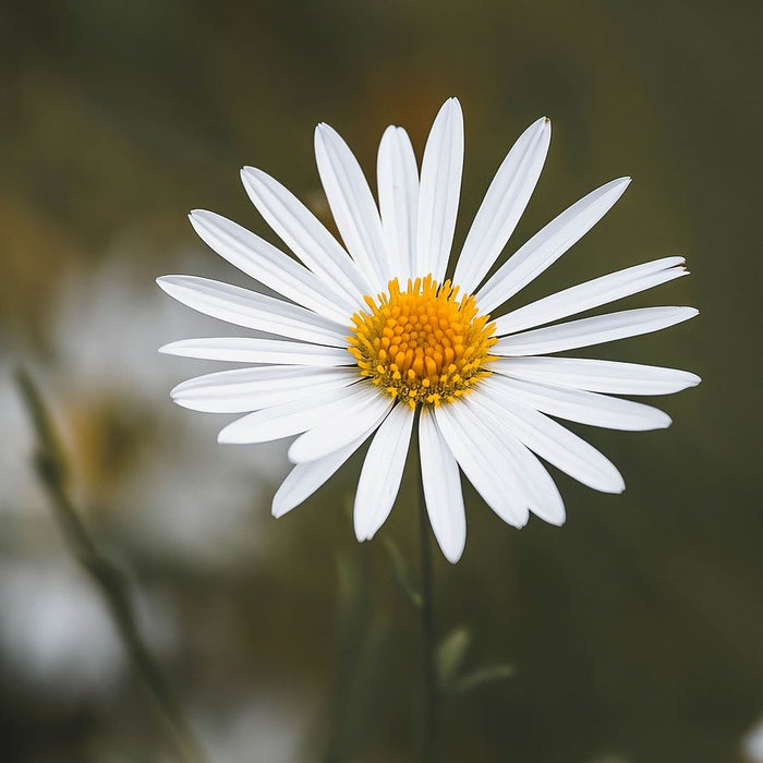 How to Secure Your Data While Using Public Hotspots - Lacatang Shop