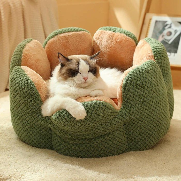 Superidag Comfortable Pet Bed from Cactus Shape - Lacatang Shop