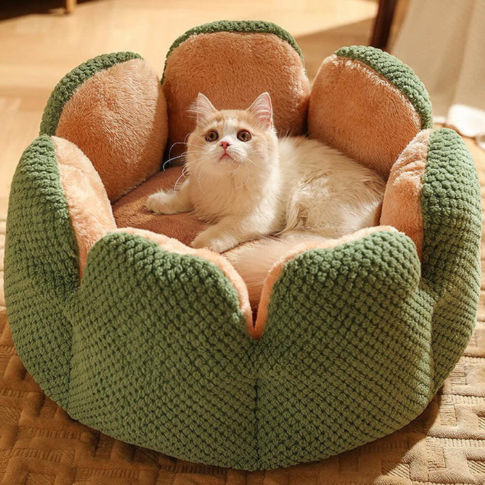 Superidag Comfortable Pet Bed from Cactus Shape - Lacatang Shop