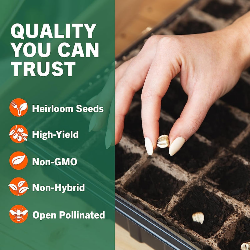 4,000 Non GMO Heirloom Vegetable Seeds for Planting Vegetables and Fruits - 12 Variety Pack of Herb Seeds for Planting Outdoors - Gardening Supplies, Survival Gear, Prepper Kits - Lacatang Shop