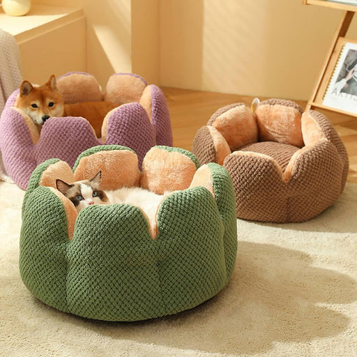 Superidag Comfortable Pet Bed from Cactus Shape - Lacatang Shop