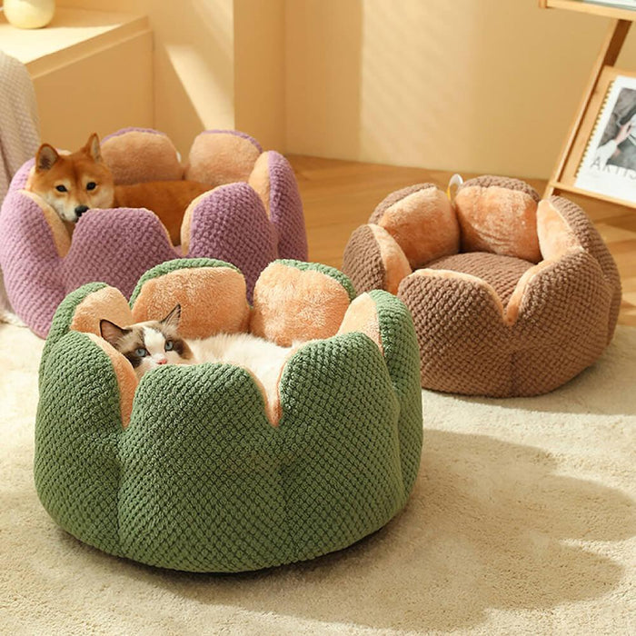 Superidag Comfortable Pet Bed from Cactus Shape - Lacatang Shop