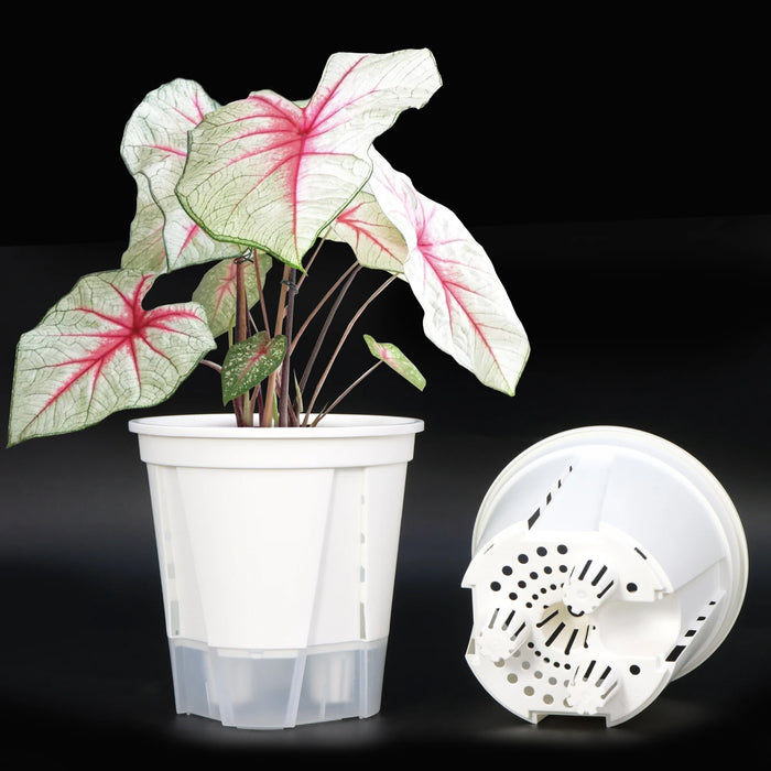 Elegant Self-Watering Resin Flower Pots for Succulents and Hydroponics - Modern Design for Indoor & Outdoor Use