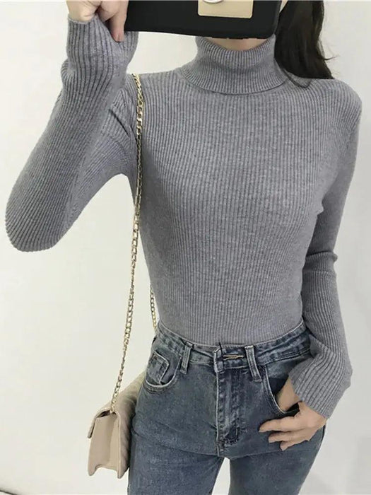 Turtleneck Sweater Womens 2024 Autumn Winter Tops Korean Slim Women Pullover Jumper Knitted Sweater Pull Femme Hiver Truien - Lacatang Shop