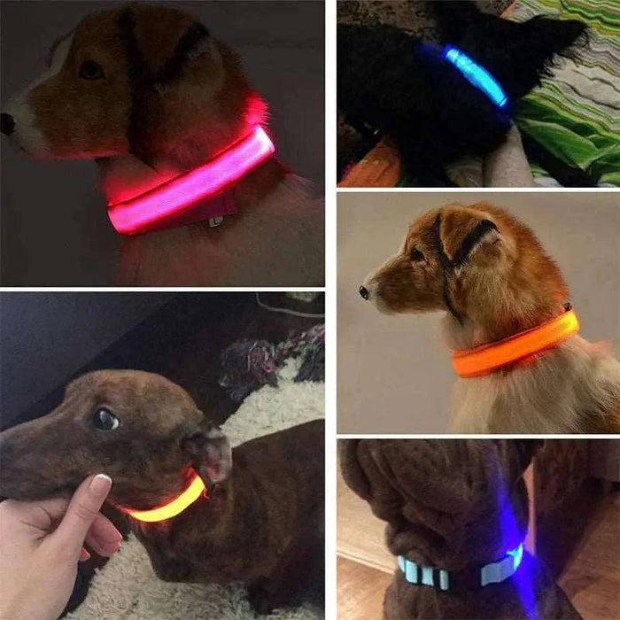 LED Adjustable Dog Collar Blinking Flashing Light up Glow Pets Safety Waterproof - Lacatang Shop