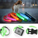 LED Adjustable Dog Collar Blinking Flashing Light up Glow Pets Safety Waterproof - Lacatang Shop