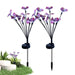 Butterfly Garden Lights 2 Pieces Butterfly Ground Light Lawn Light Butterfly Lamp Solar Power Landscape Light Outdoor 7 Light 

Up Your Garden Game: Bring Home these Earth-Friendly Butterfly Garden Lights for a Magical Nightscape & Eco-Friendly Landscaping!  Lacatang Shop Lacatang Shop 