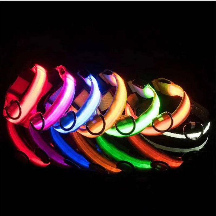 LED Adjustable Dog Collar Blinking Flashing Light up Glow Pets Safety Waterproof - Lacatang Shop