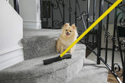 Professional title: " Original Indoor Pet Hair Rubber Broom and Pet Hair Remover Lint Brush Set" Indoor Pet Hair Rubber Broom & Lint Brush Set for Easy Cleaning  AliExpress Lacatang Shop 