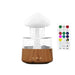 Relax Cloud Rain Diffuser: Ultrasonic Aromatherapy Humidifier with Colorful Lamp - Lacatang Shop