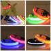 LED Adjustable Dog Collar Blinking Flashing Light up Glow Pets Safety Waterproof - Lacatang Shop