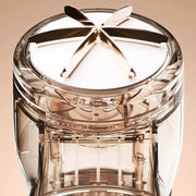 Electric Clothing Remover USB Charging Portable Lint Remover LED Display Clothes Pet Hair Remover Household Machine - Lacatang Shop