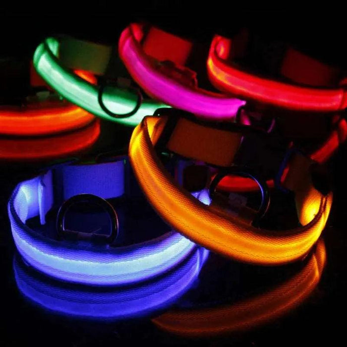 LED Adjustable Dog Collar Blinking Flashing Light up Glow Pets Safety Waterproof - Lacatang Shop