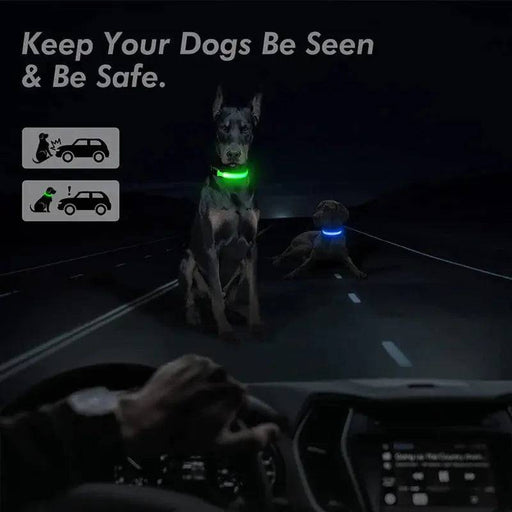 LED Adjustable Dog Collar Blinking Flashing Light up Glow Pets Safety Waterproof - Lacatang Shop