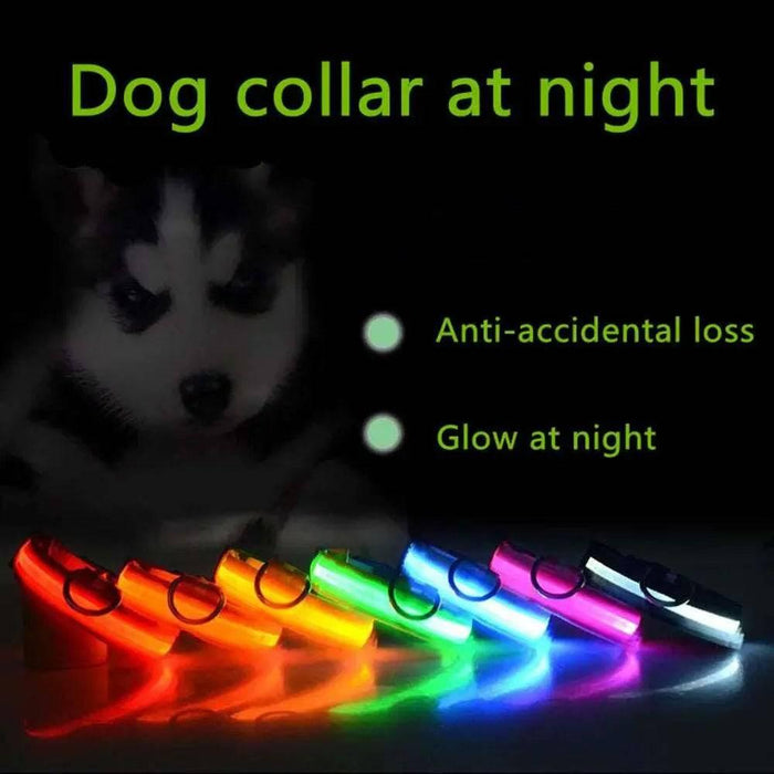 LED Adjustable Dog Collar Blinking Flashing Light up Glow Pets Safety Waterproof - Lacatang Shop