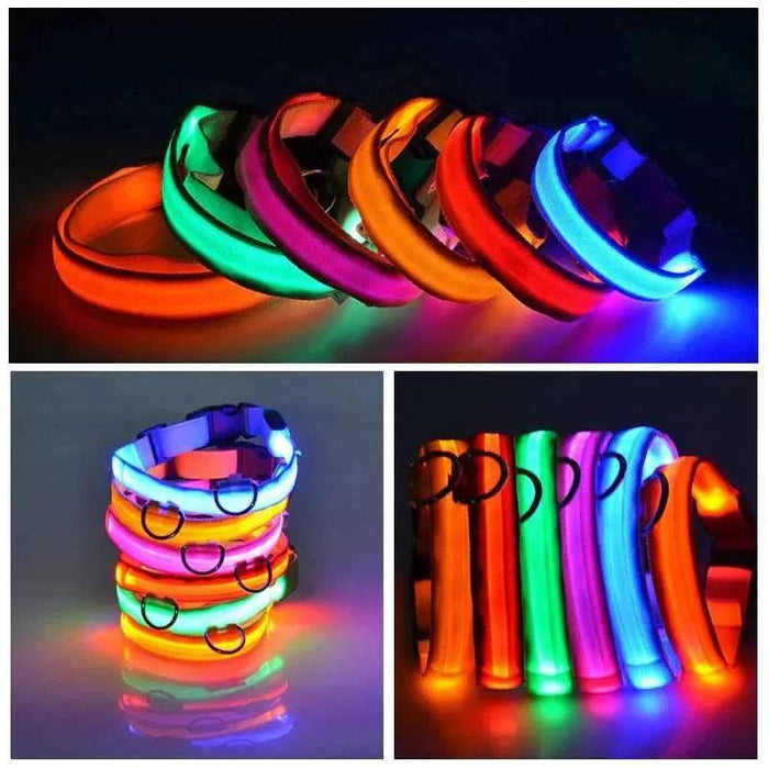 LED Adjustable Dog Collar Blinking Flashing Light up Glow Pets Safety Waterproof - Lacatang Shop