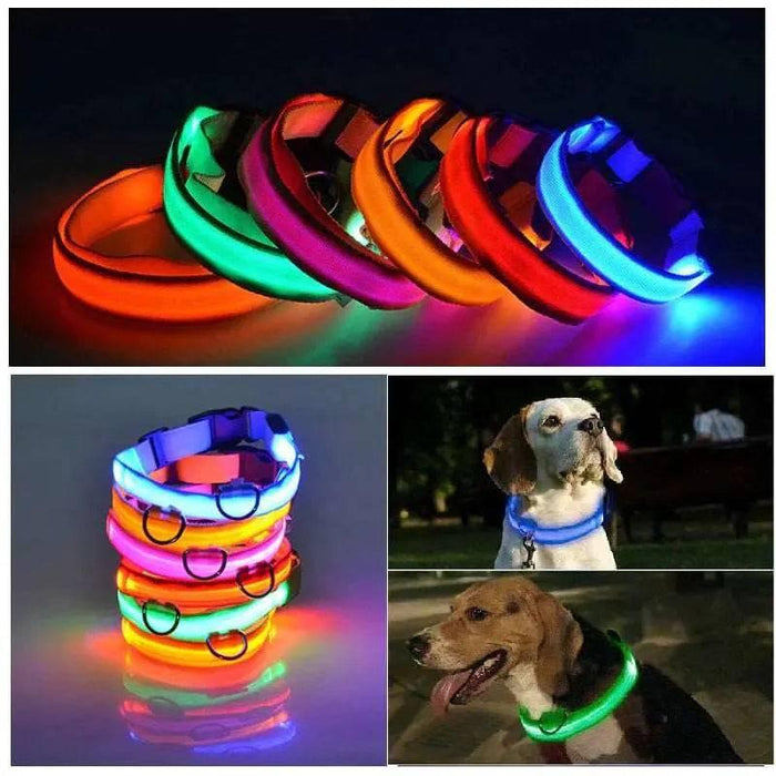 LED Adjustable Dog Collar Blinking Flashing Light up Glow Pets Safety Waterproof - Lacatang Shop