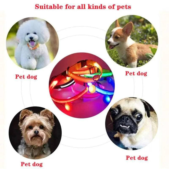 LED Adjustable Dog Collar Blinking Flashing Light up Glow Pets Safety Waterproof - Lacatang Shop