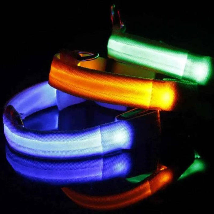 LED Adjustable Dog Collar Blinking Flashing Light up Glow Pets Safety Waterproof - Lacatang Shop