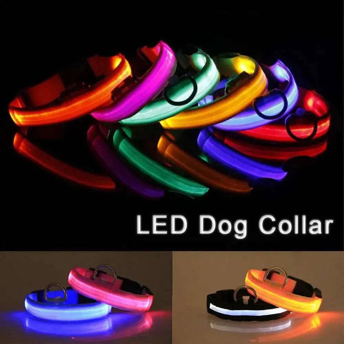 LED Adjustable Dog Collar Blinking Flashing Light up Glow Pets Safety Waterproof - Lacatang Shop