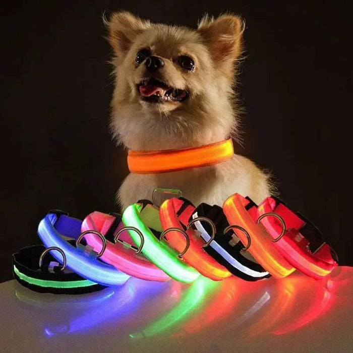 LED Adjustable Dog Collar Blinking Flashing Light up Glow Pets Safety Waterproof - Lacatang Shop