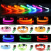 LED Adjustable Dog Collar Blinking Flashing Light up Glow Pets Safety Waterproof - Lacatang Shop