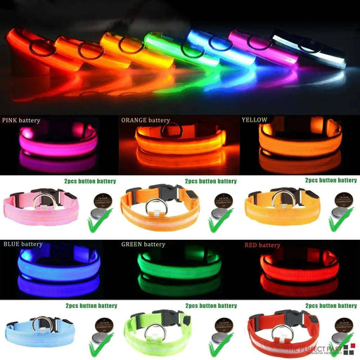 LED Adjustable Dog Collar Blinking Flashing Light up Glow Pets Safety Waterproof - Lacatang Shop