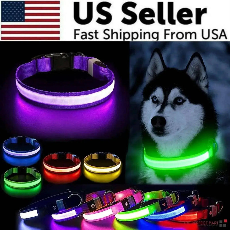 LED Adjustable Dog Collar - Blinking Flashing Light Up Glow for Pet Safety
