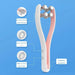 EMS Face Massager Facial Lift Up Machine Microcurrent Cellulite Double - Lacatang Shop