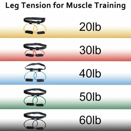 MultiFunction Fitness Resistance Bands for Butt Leg Muscle Training - Lacatang Shop